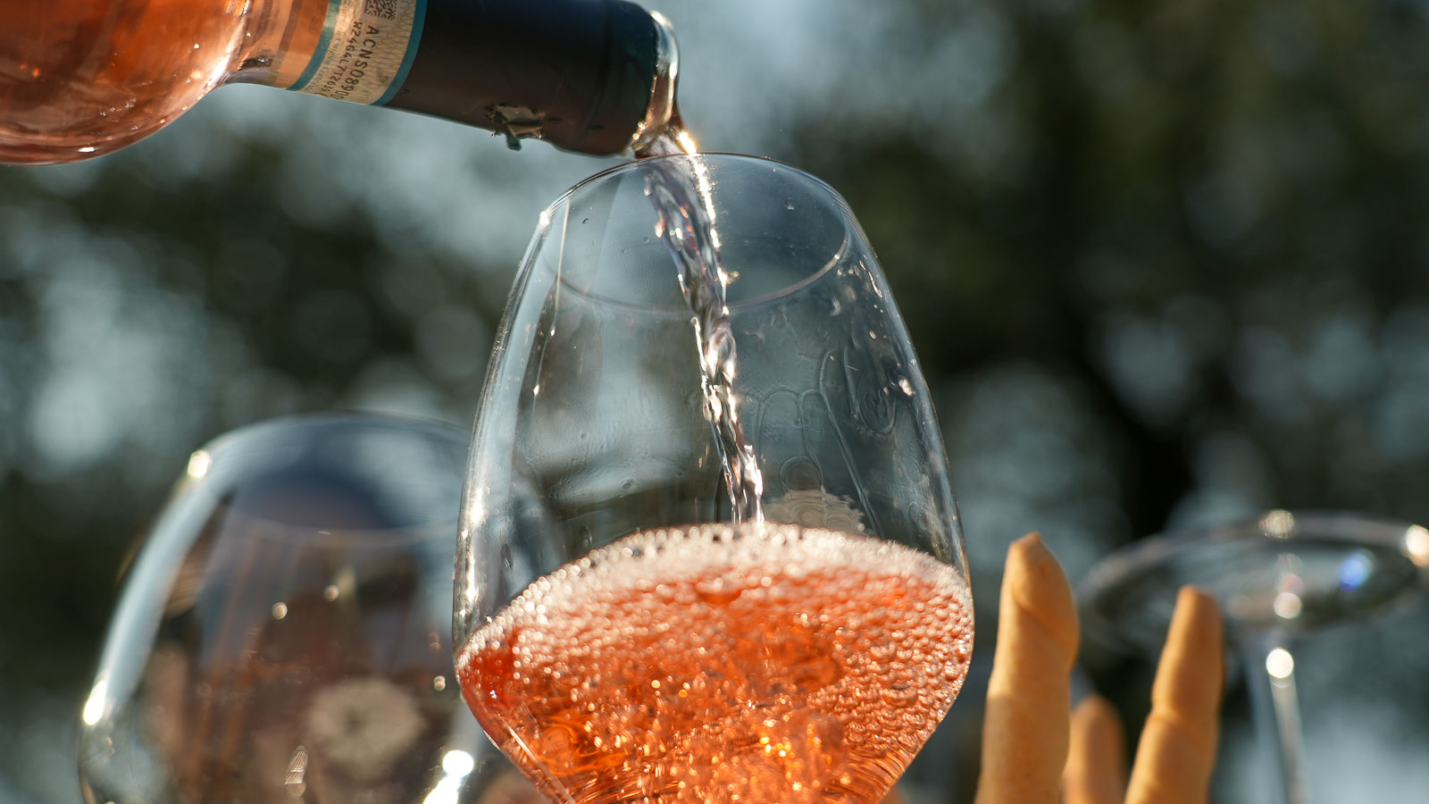 Wine and Gourmet food tasting in Bardolino - Photo 3