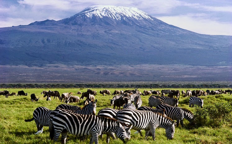 11 días: safari privado de lujo en 4x4, lo mejor de Kenia y Tanzania: globo aerostático - Foto 4