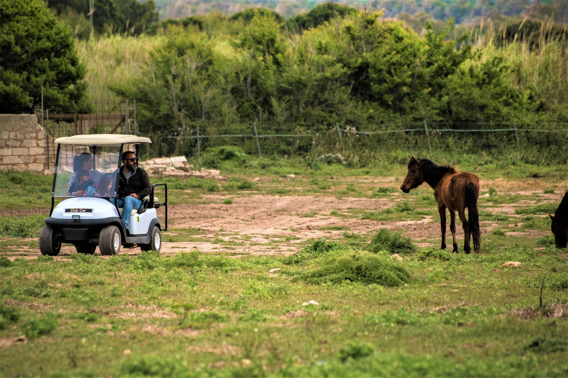 Alghero: rent a golf car in the Porto Conte Park - Photo 2