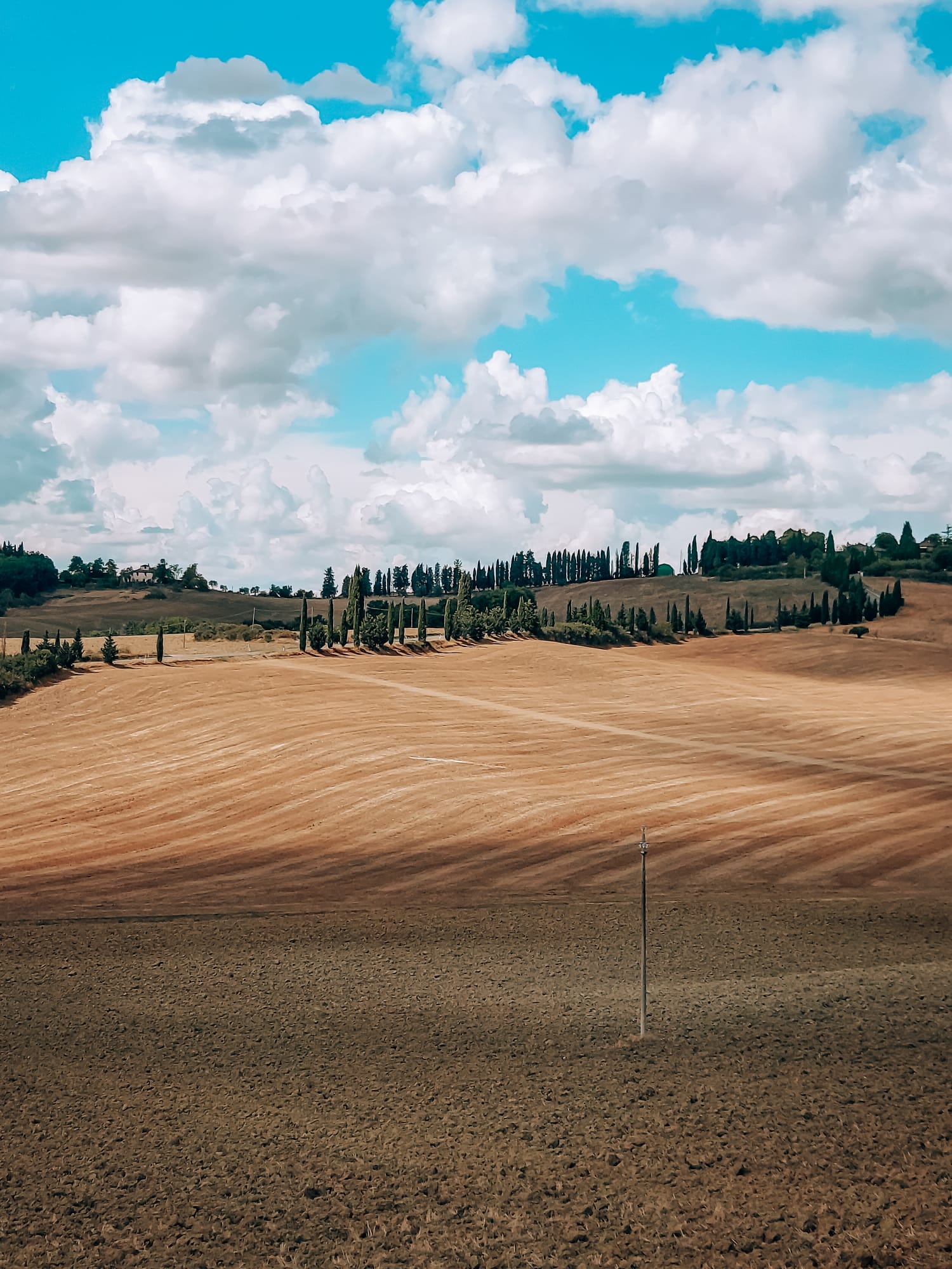 500 Vintage Tour - Tour enogastronomico nel Chianti - Piccoli gruppi  - Photo 25