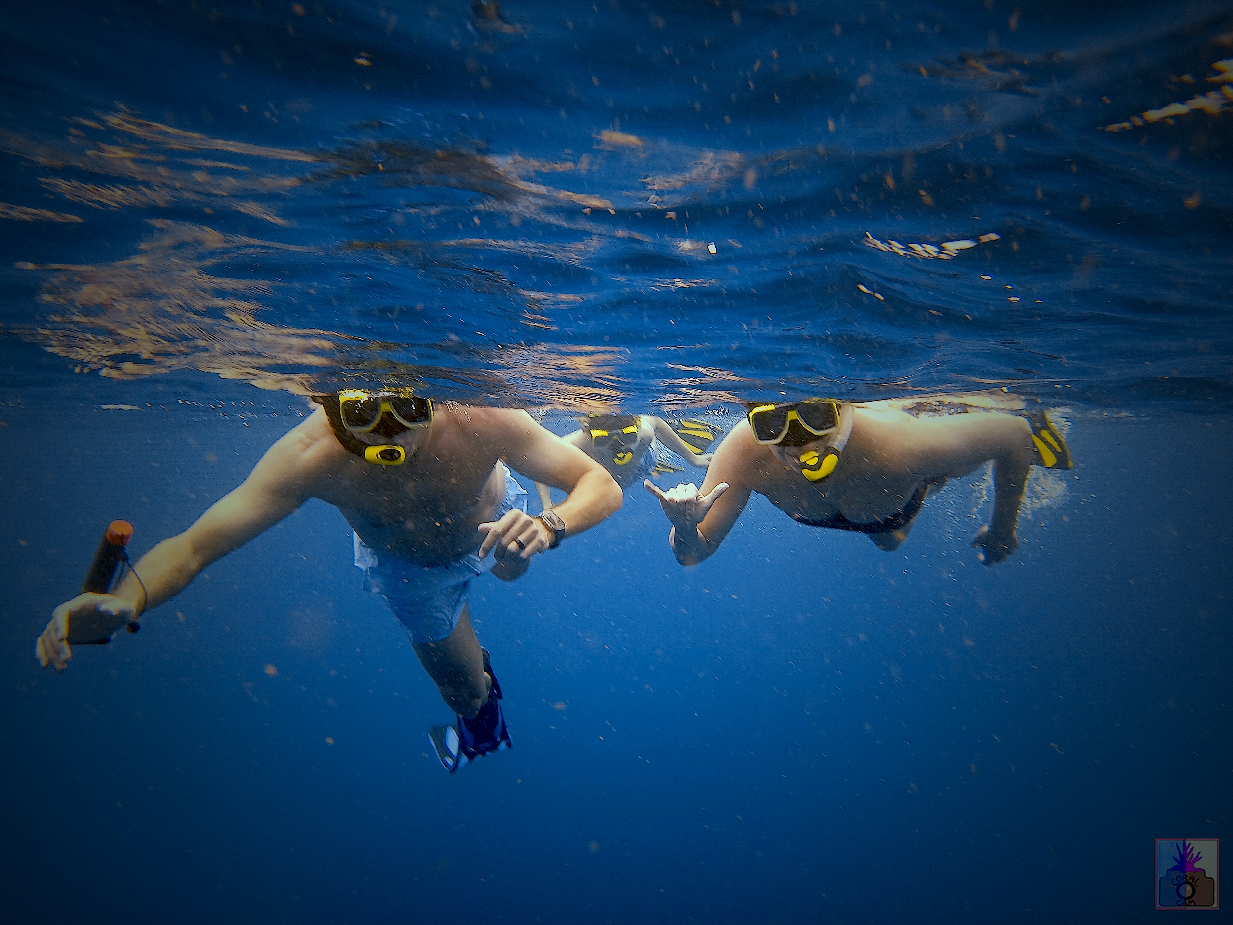 Private 2 Stop Shore Snorkel Excursion on Bonaire 4