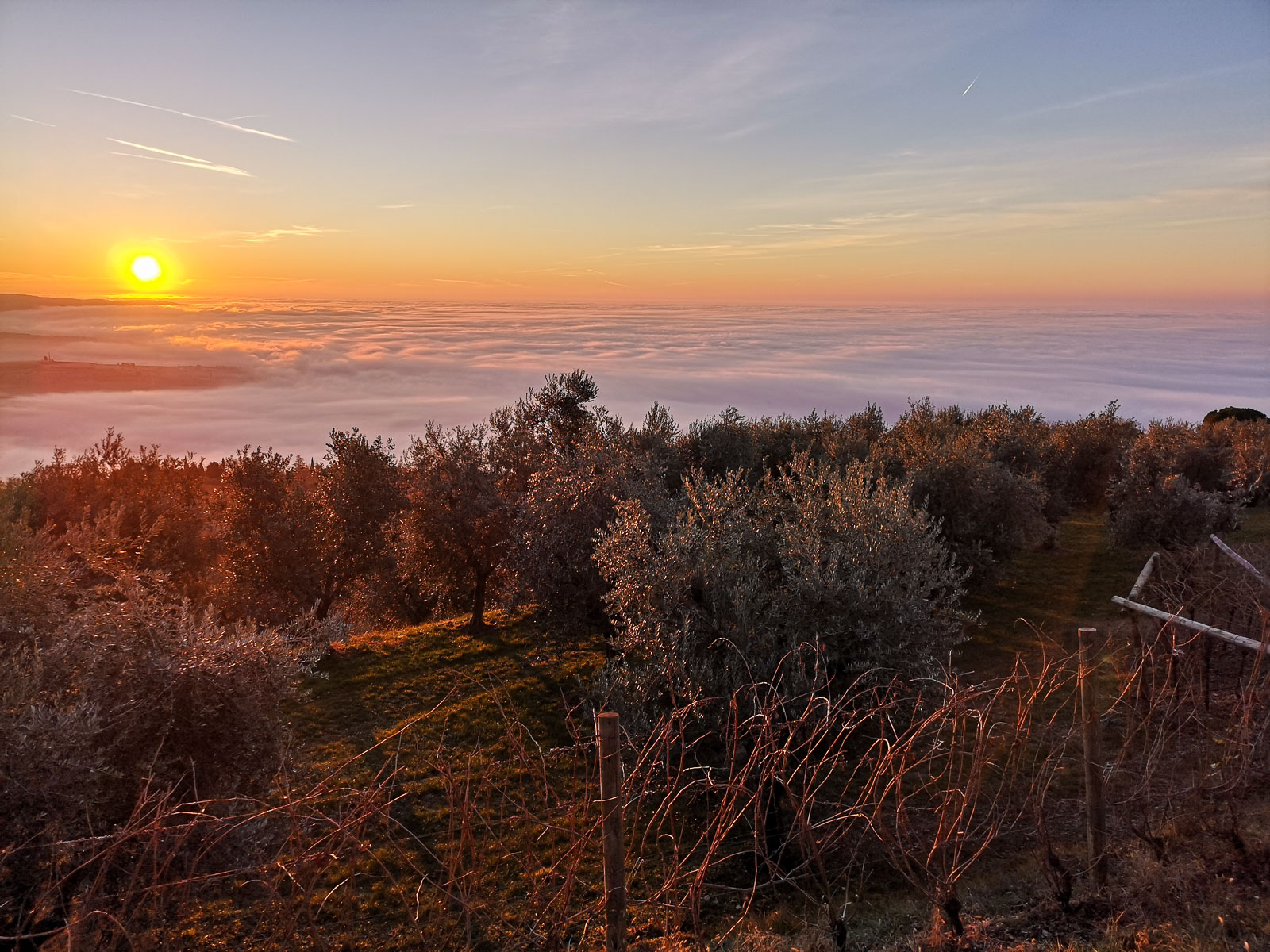 Fumane: tasting of 3 wines on Valpolicella Hills - Photo 7