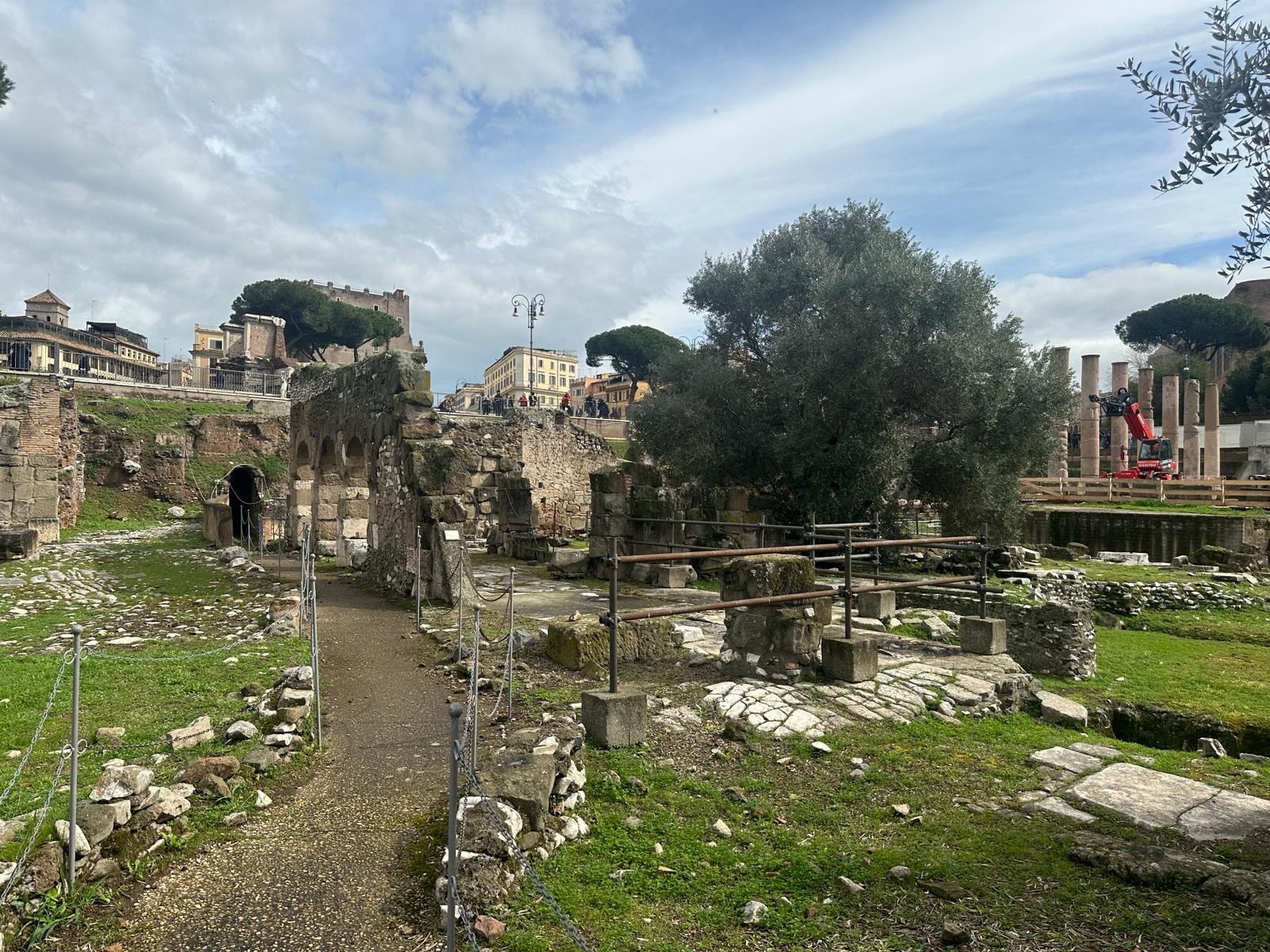 Private Tour of Domus Tiberiana and Ancient Rome - Photo 17
