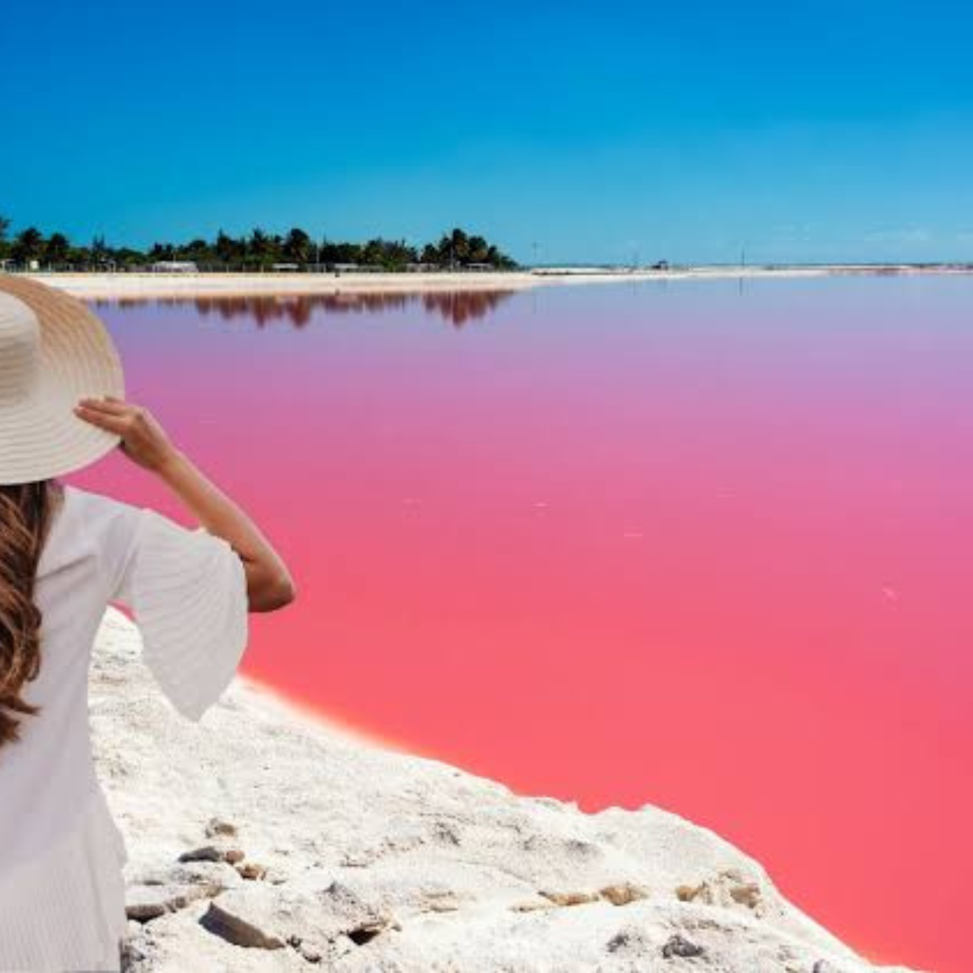 Excursion a las Coloradas y Río Lagartos 3