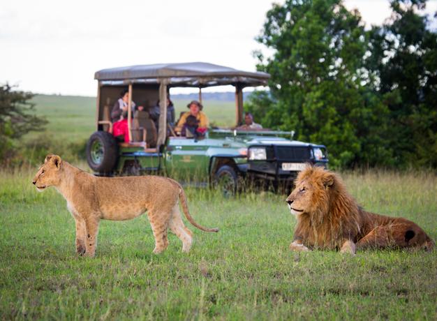 11-Day Kenya Safari & Double Gorilla Trekking – photo 6
