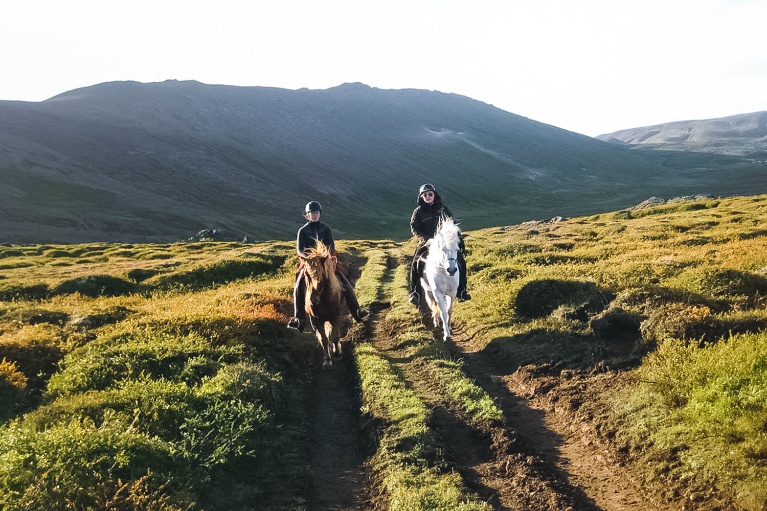 Whales and Horses - photo 3