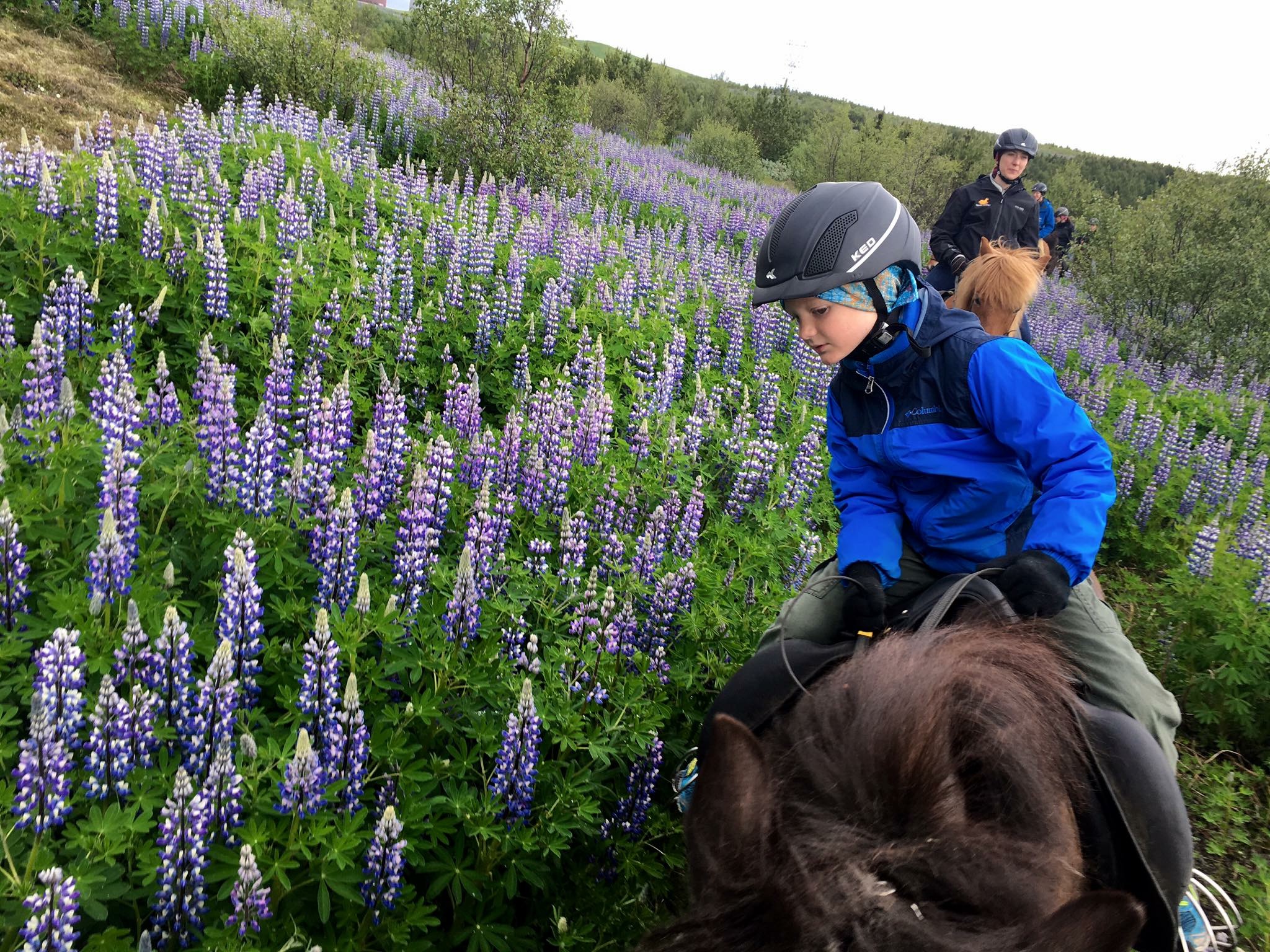  On request: 1 Hours Private Family Tour - photo 4