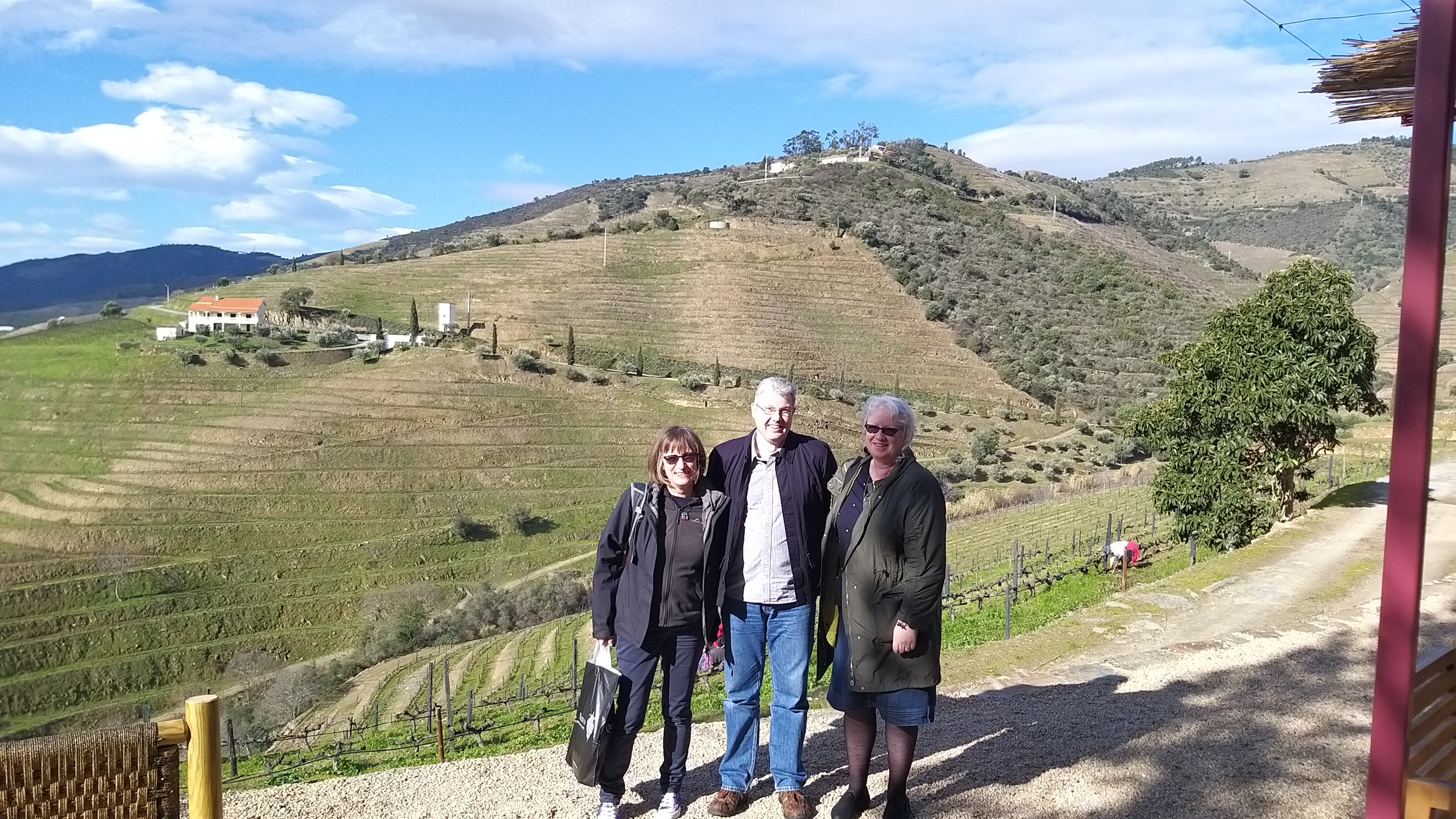 Private Douro Tour with Wine Tastings: Galafura, Pinhão and N222 - Photo 2