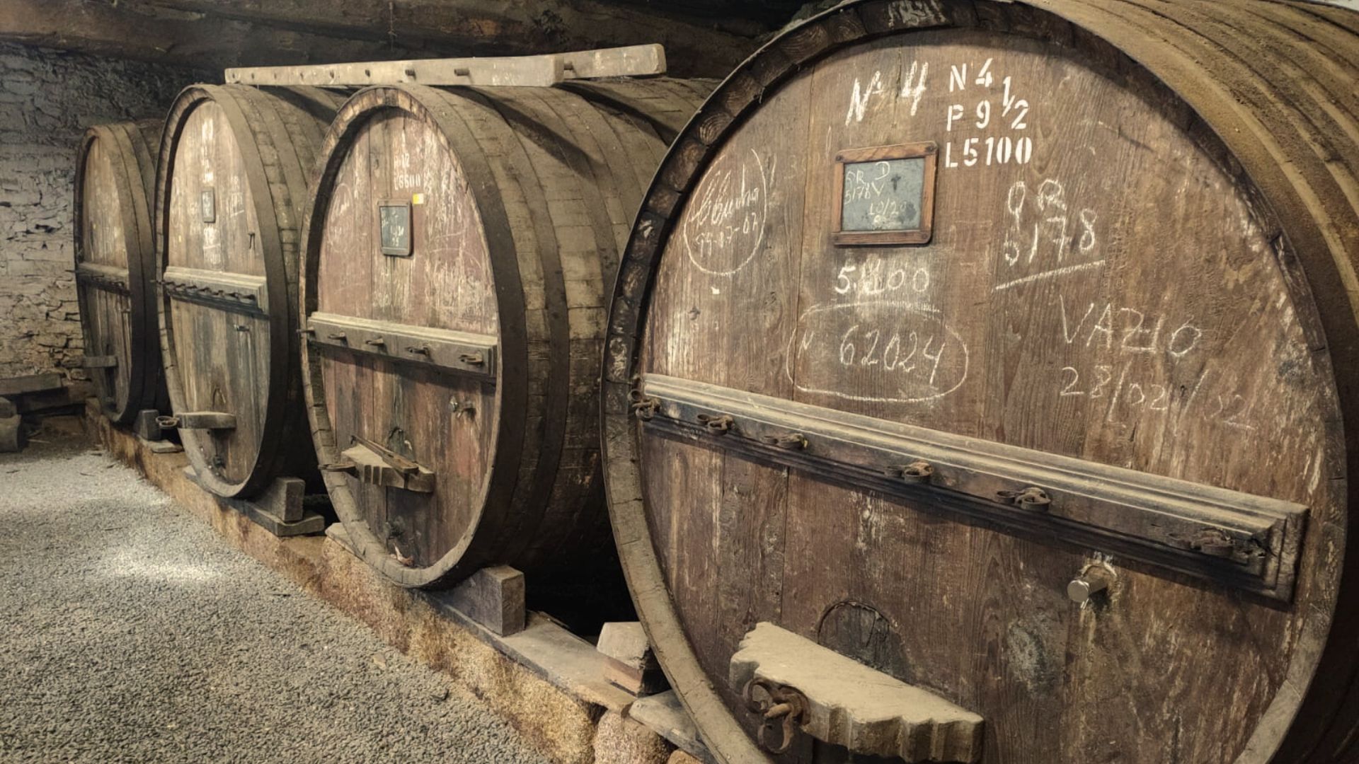 Douro Valley Small Group Tour with Wine Tastings, Lunch and River Cruise  - Photo 11