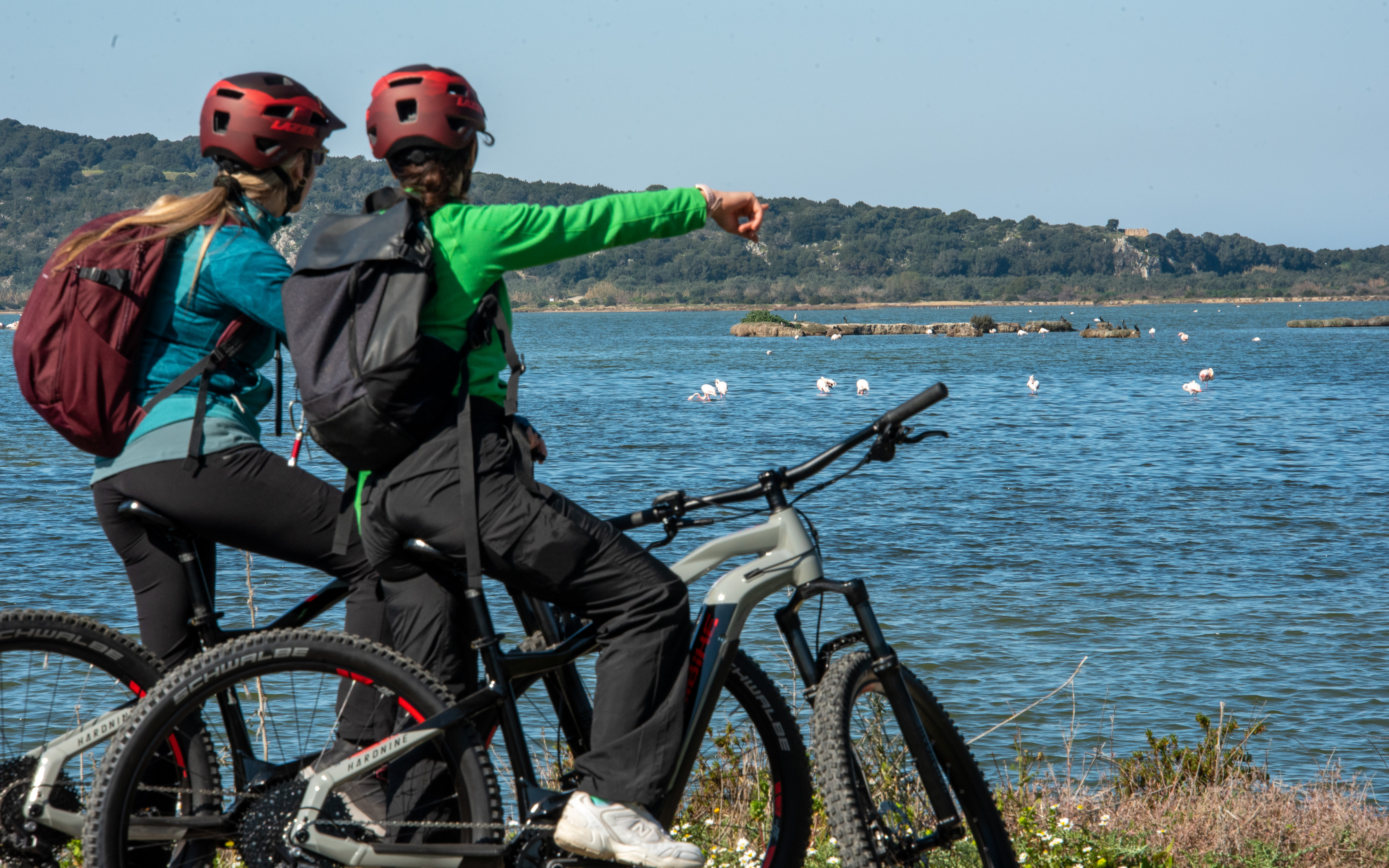 Sendero Navarino en bicicleta eléctrica