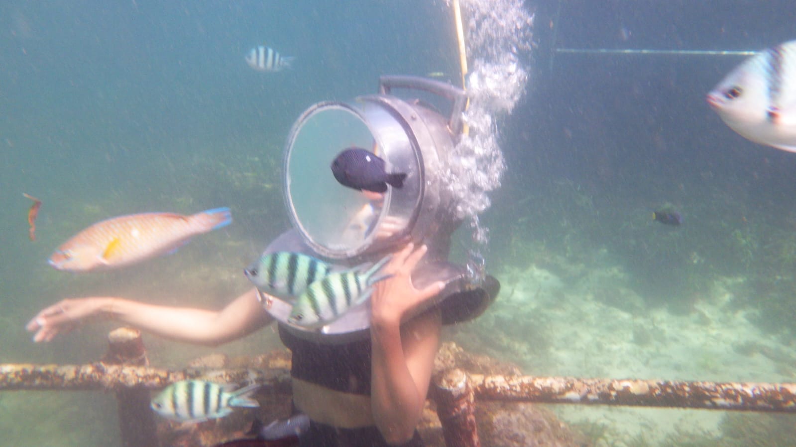 Half Day Guided Underwater Sea Walk Experience in Nusa Dua – photo 2