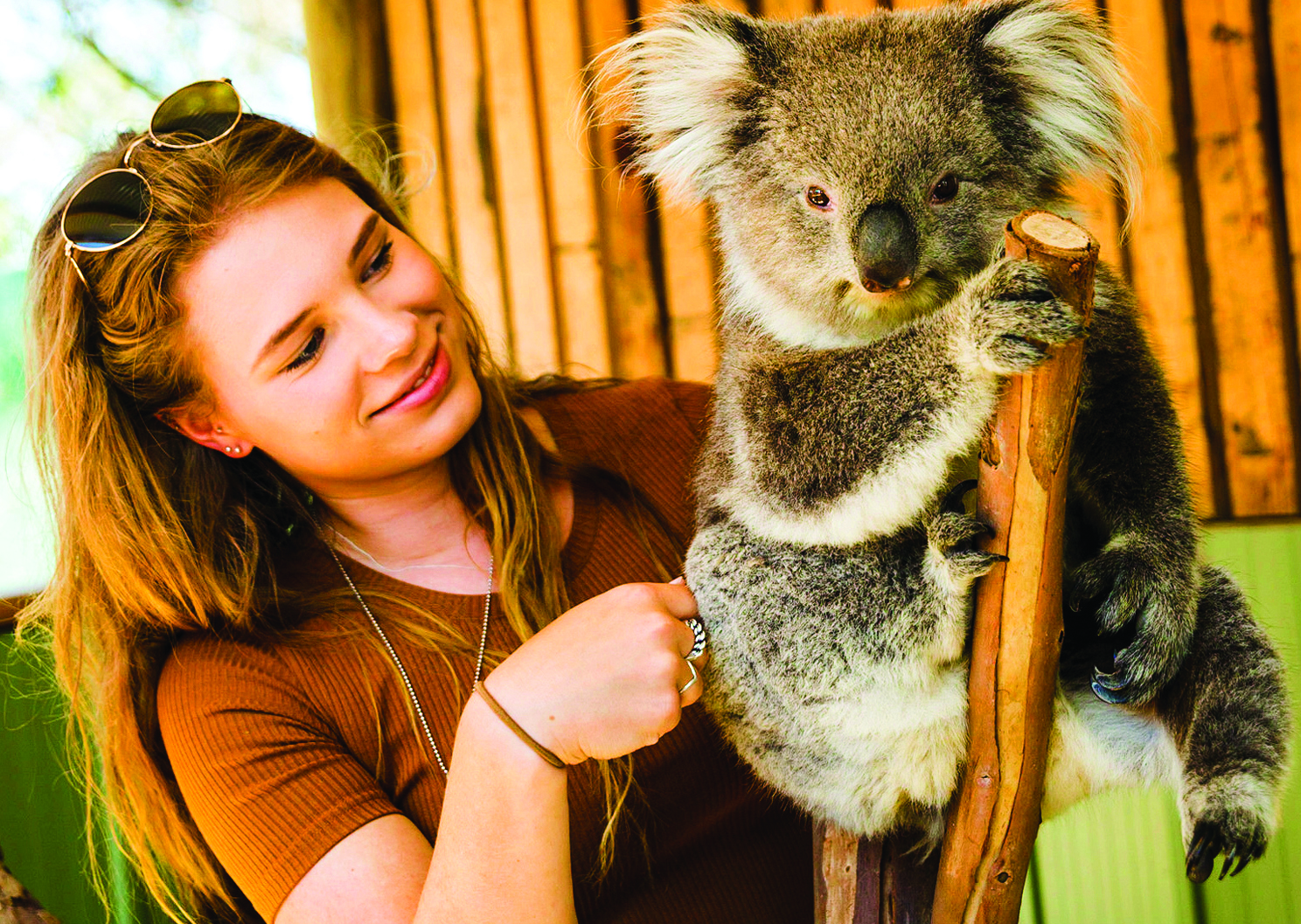 ESSENTIAL AUSTRALIA - Photo 9