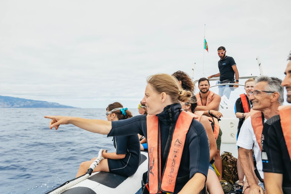 Experiencia con delfines y ballenas