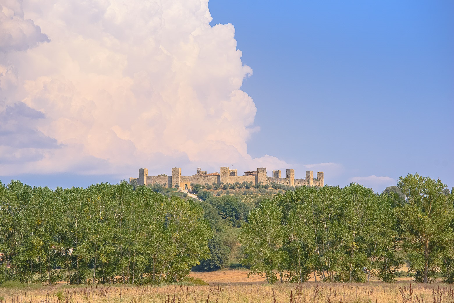 Small-Group Winery Tour with Tasting and Dinner in Chianti - Photo 143