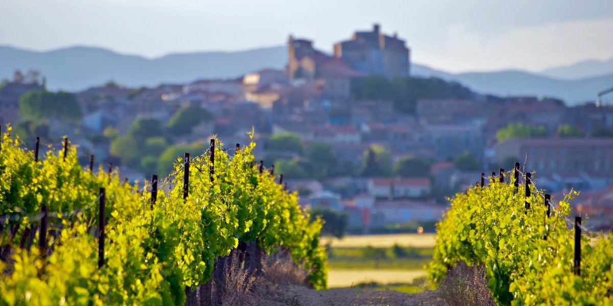 Private Shore Excursion Languedoc Wine Tasting from Sète Port