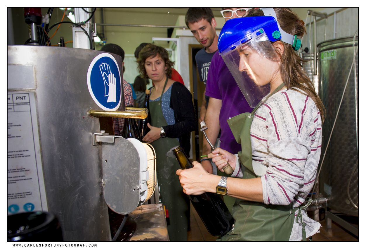 Barcelona: Your Cava, Your Story – Wine workshop experience at Artcava - Photo 4
