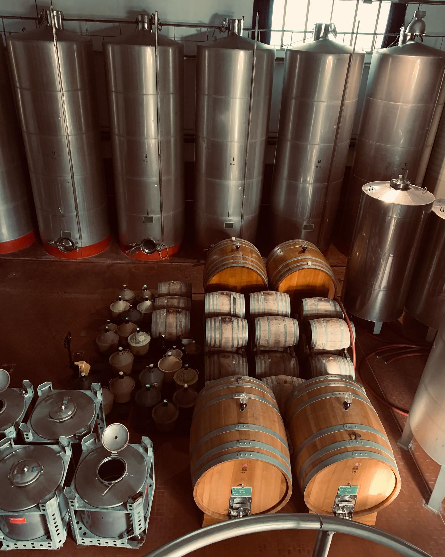 Ischia: 3 Hours Wine Tasting Experience, Vineyards & Pick-up - Photo 9