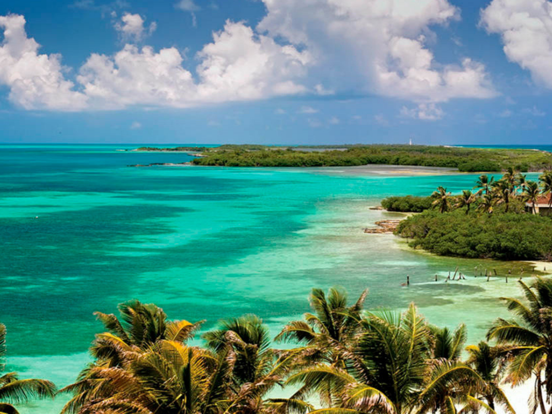 Excursión a Isla Contoy 2
