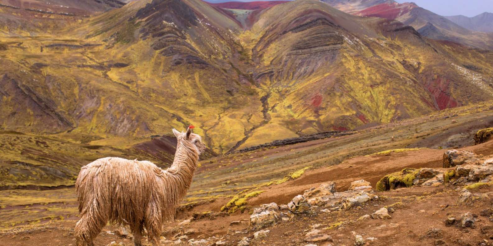 Cus-12: Palcoyo - Explora la hermana secreta de las Montañas Arcoíris - Foto 4