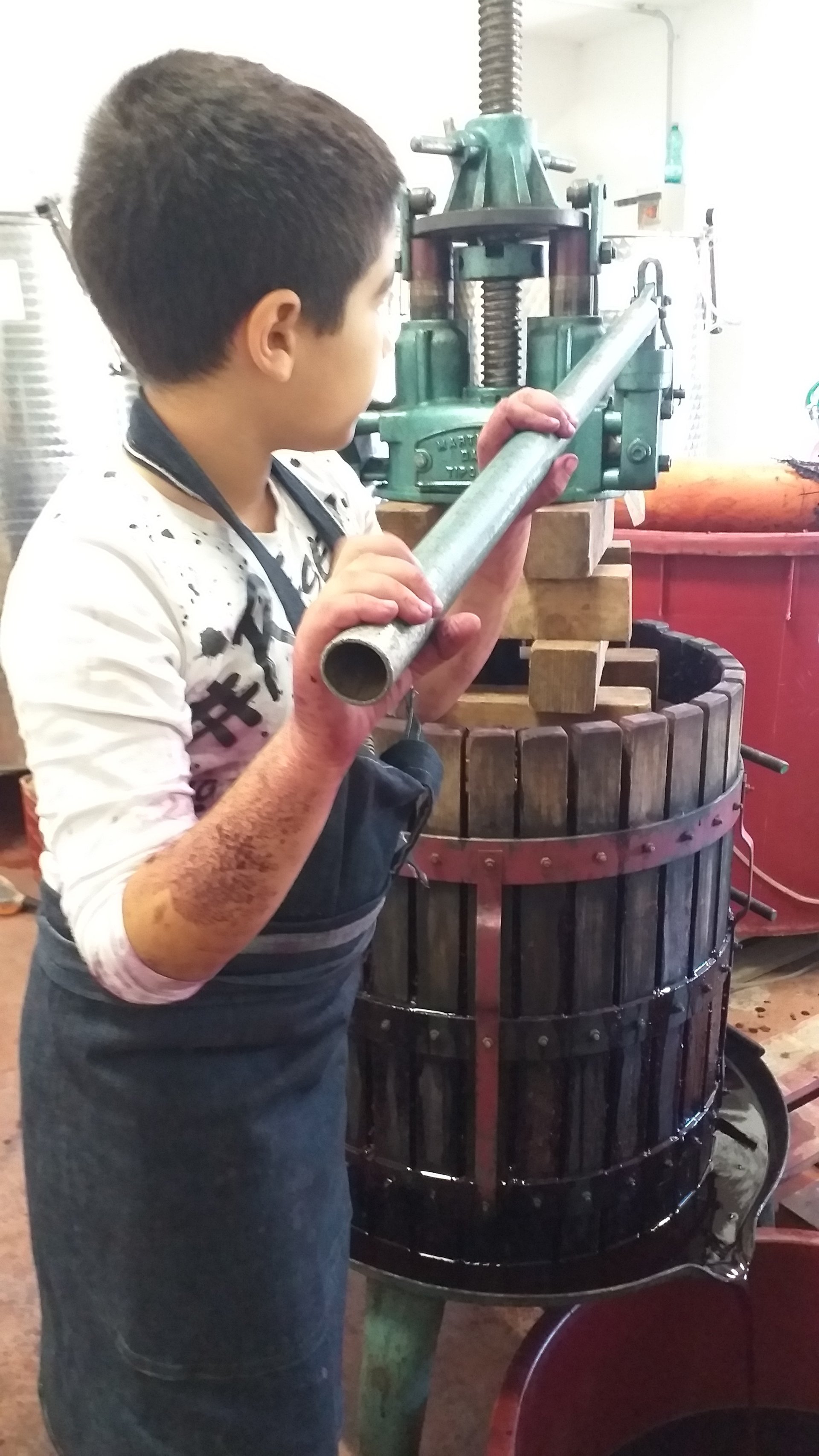 Dorgali: visit of a winery with tasting - Photo 9