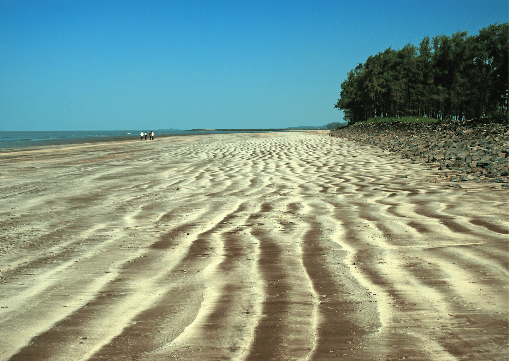 Day Trip to Alibag-Kashid Beach (Guided Fullday Sightseeing Tour from Mumbai) - Photo 7
