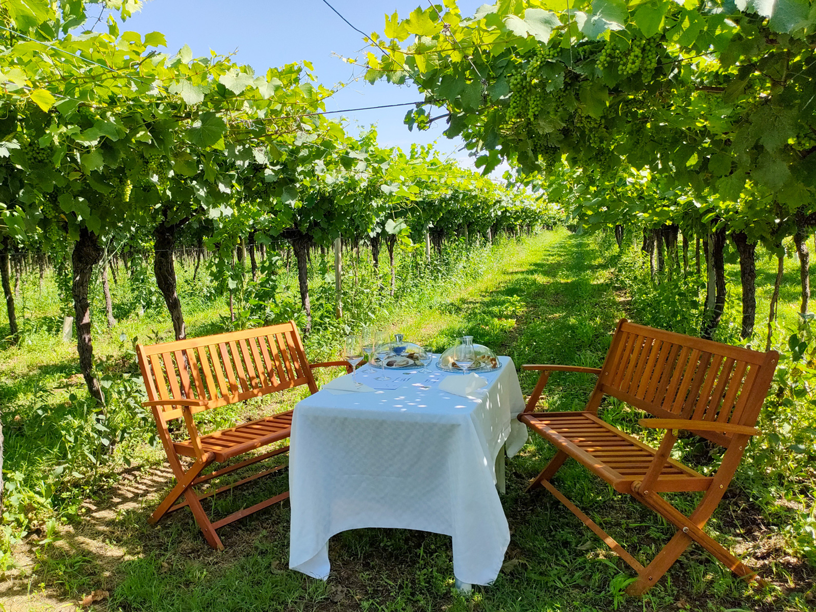 Horse Carriage Tour in Lazise: Romantic Lake Garda Experience - Photo 3