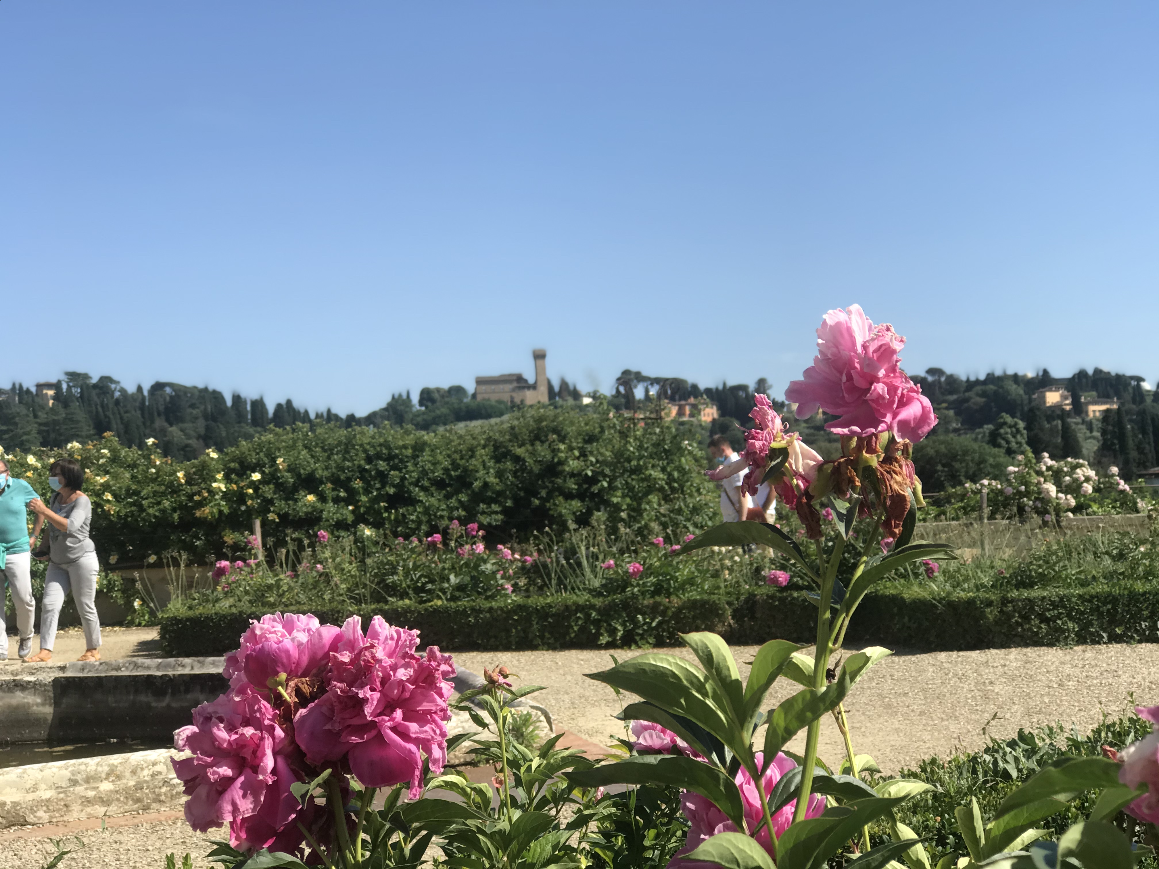 Florence: Uffizi, Pitti, Boboli and 7 Attractions 5-Day Pass - Photo 26