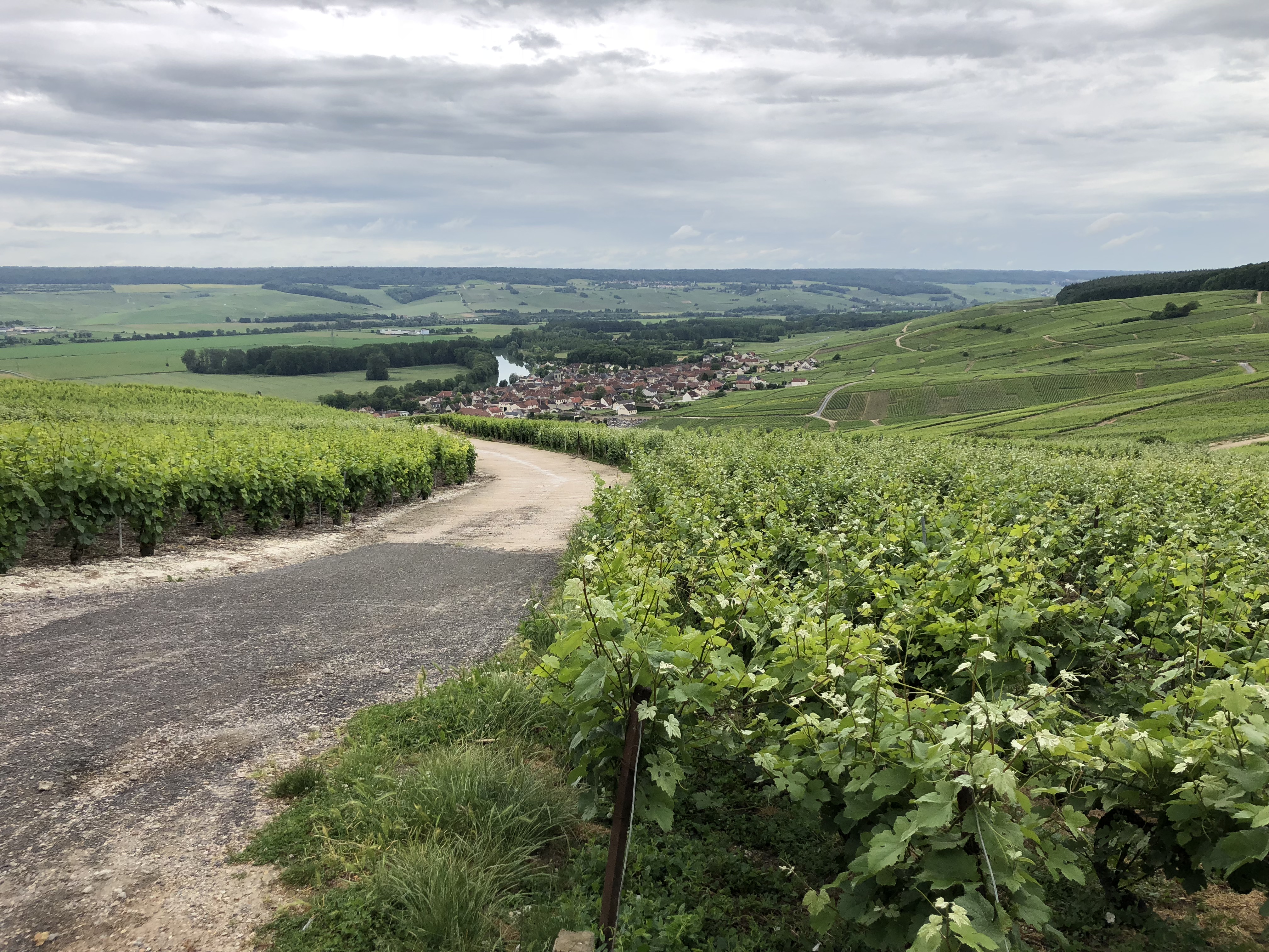 REIMS & CHAMPAGNE REGION One Day Trip  - Photo 4