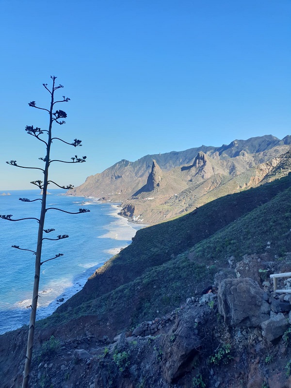 9 Days / 8 nights - Hiking Highlights of Tenerife - Photo 2
