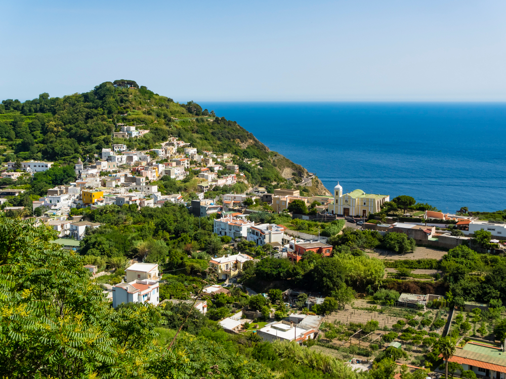 Ischia & La Mortella Gardens guided tour - Photo 4