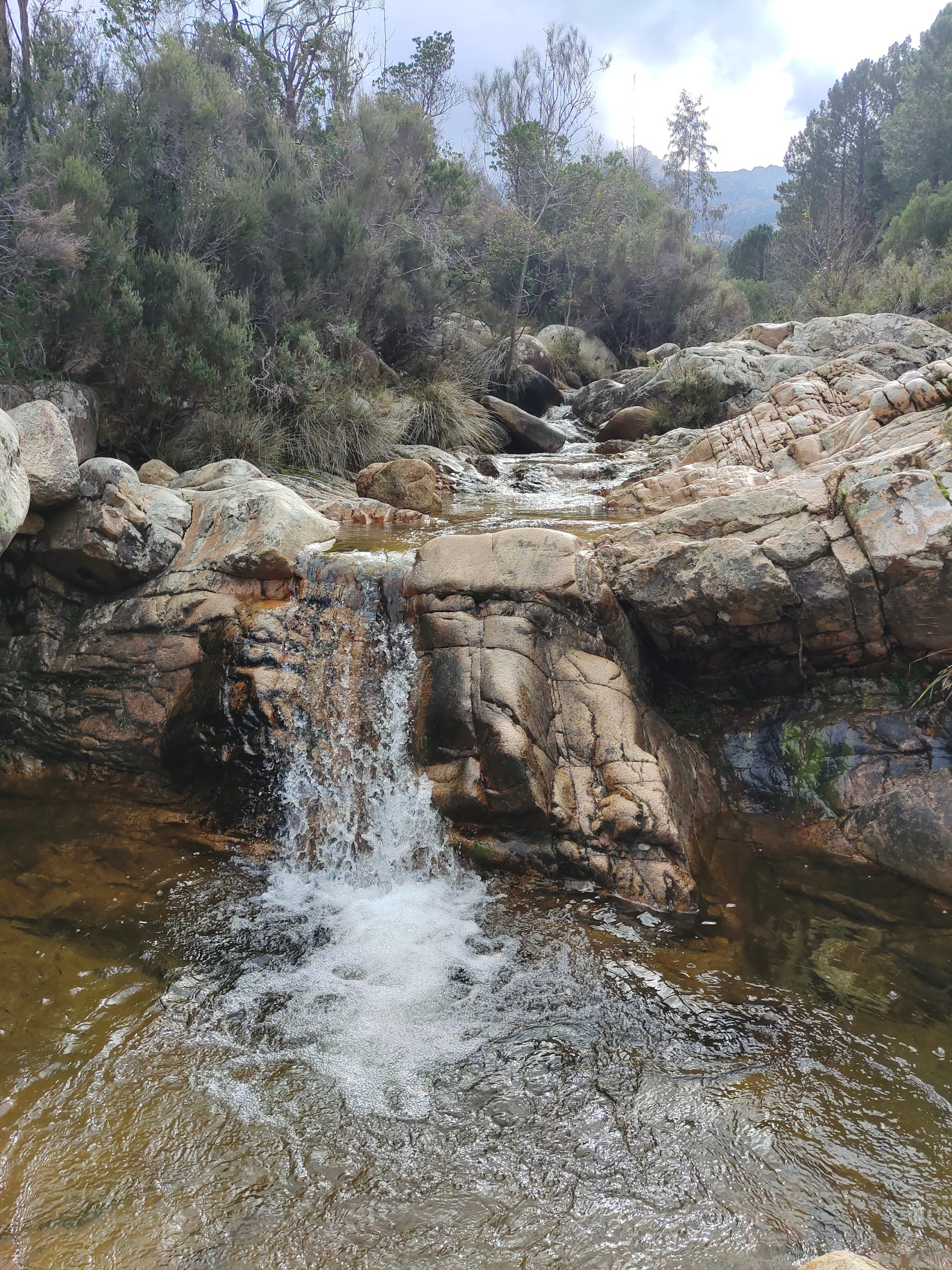 From San Teodoro: jeep tour to Rio Pitrisconi - Photo 3