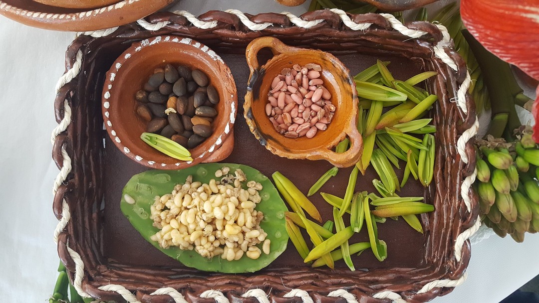 Food Tour México: Aguas Termales, Pulque y Gastronomía Local (3 días) 5