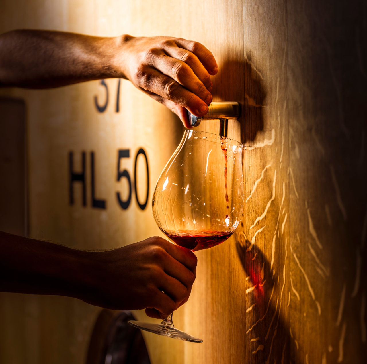 La Madama: A Journey through Piedmont's Tradition and Wines - Photo 10
