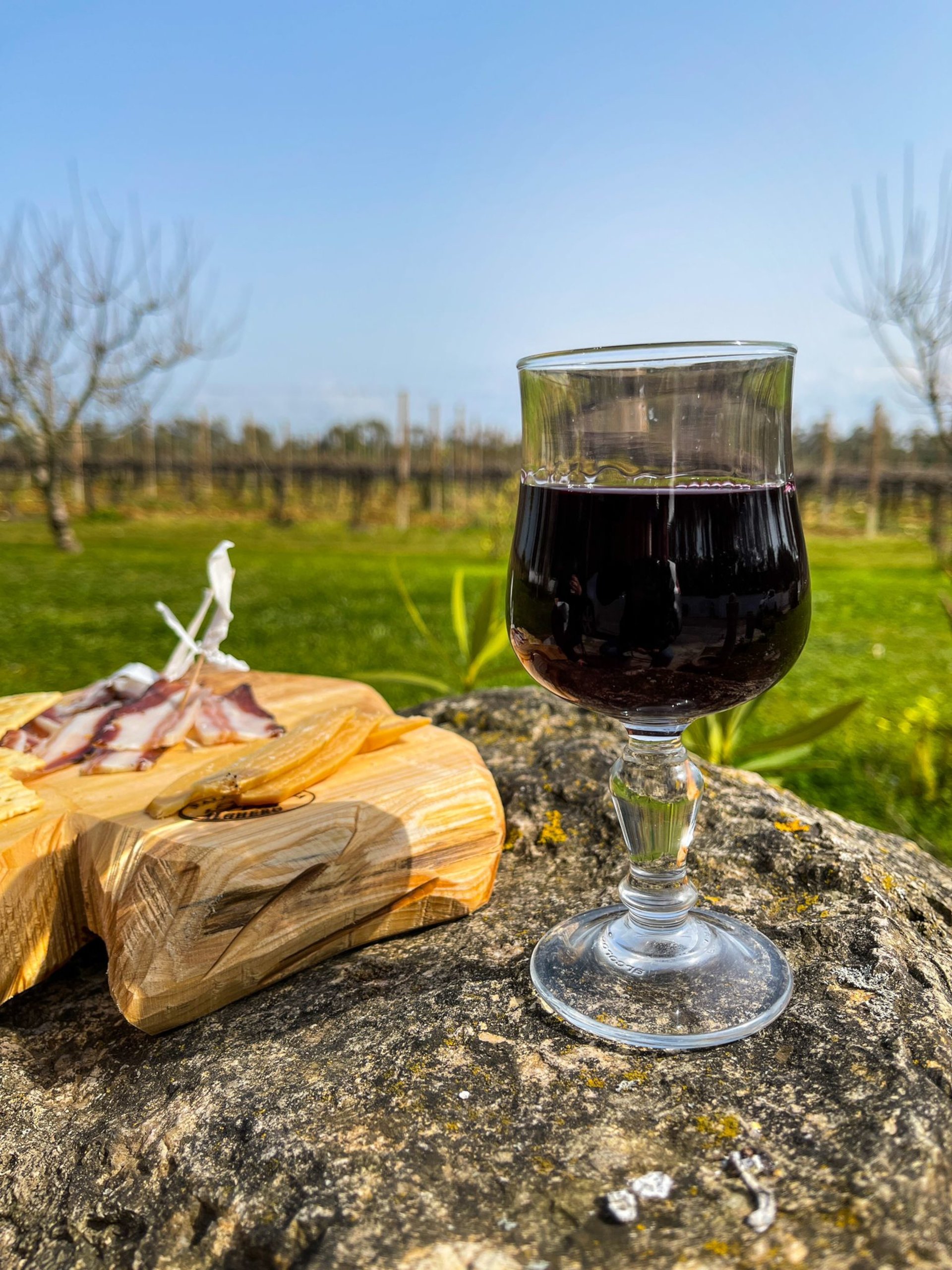 Alghero: aperitif in a vineyard - Photo 12