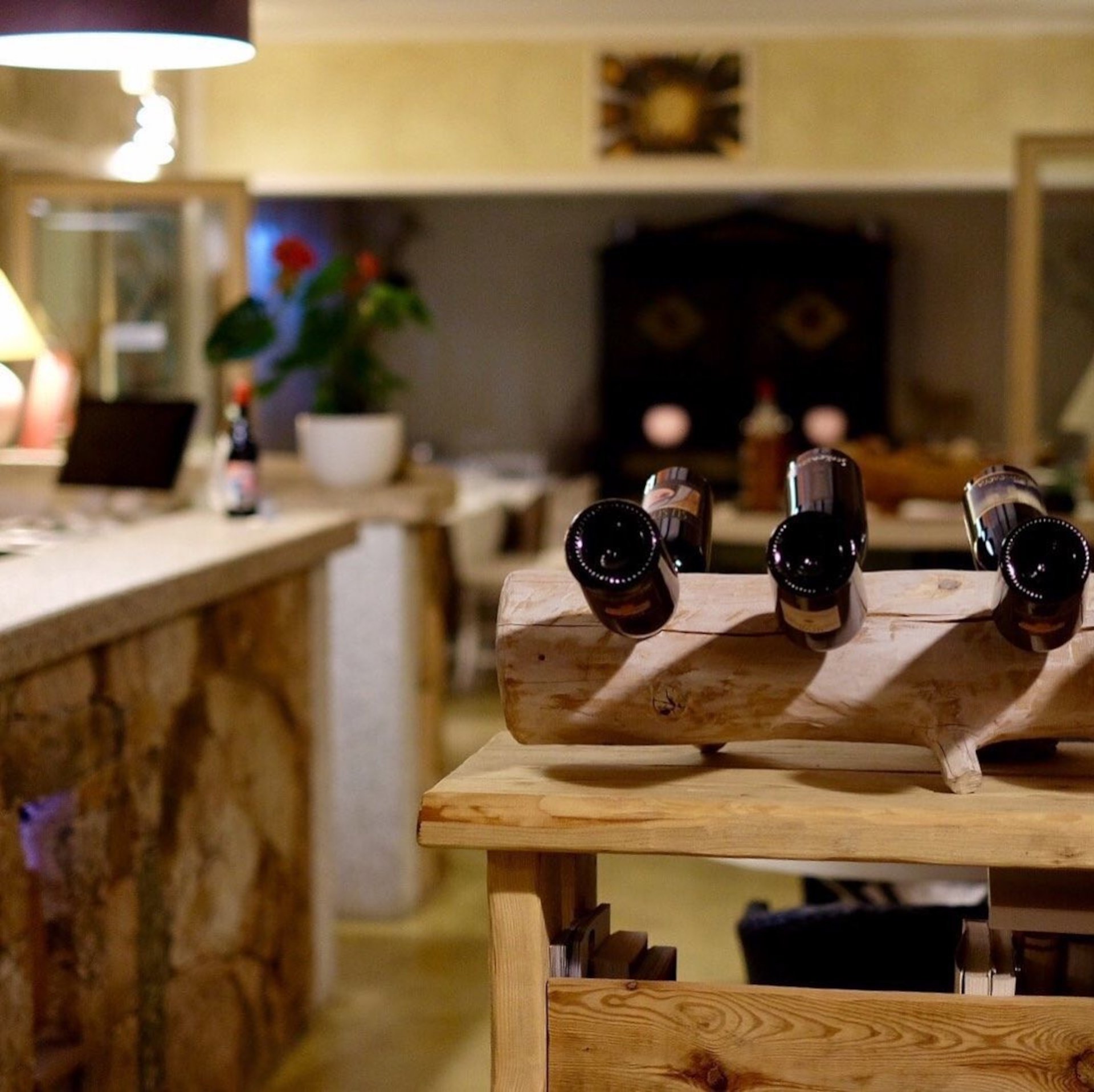 Olbia: visit to a Gallura winery with tasting - Photo 14