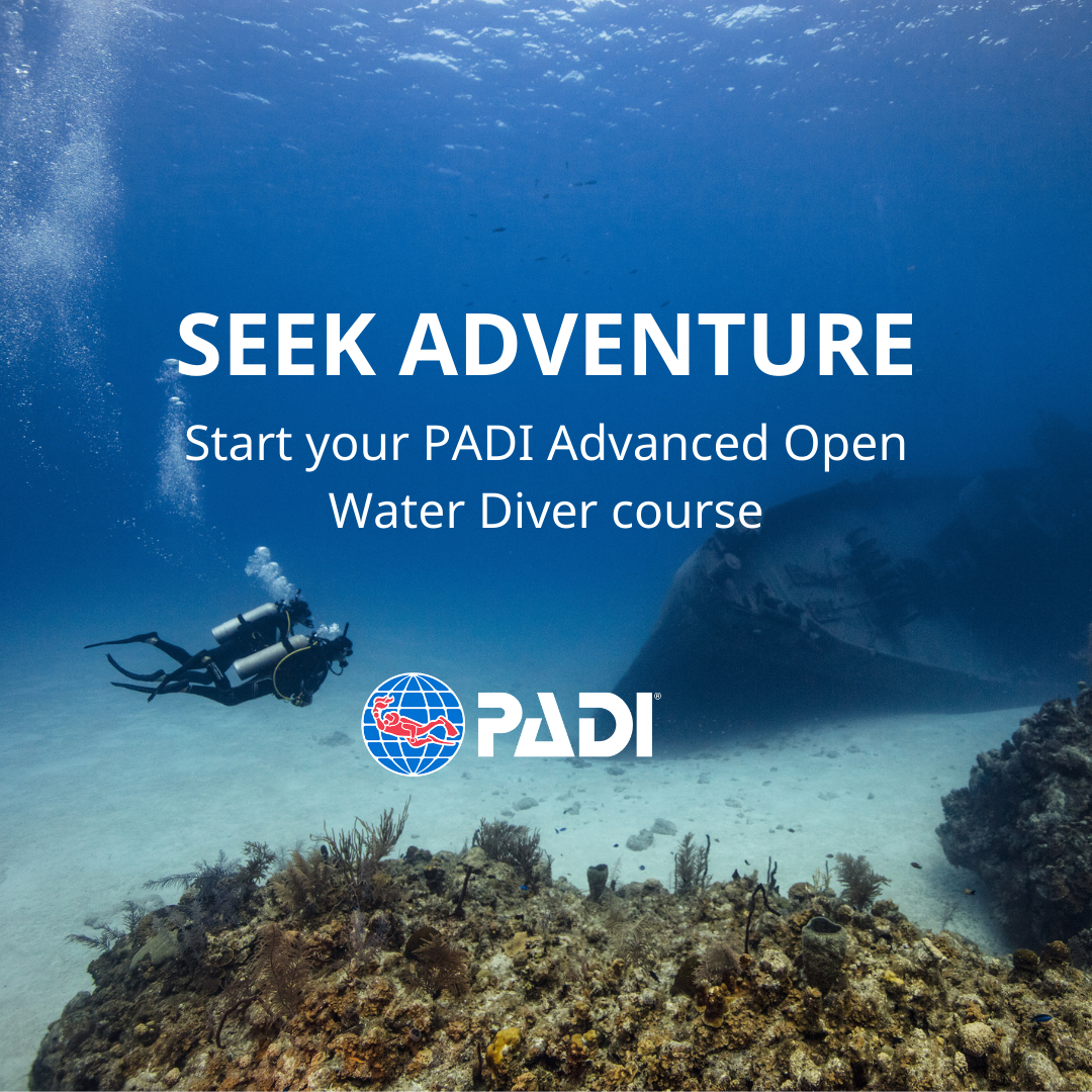 Curso PADI Avanzado (5 inmersiones)