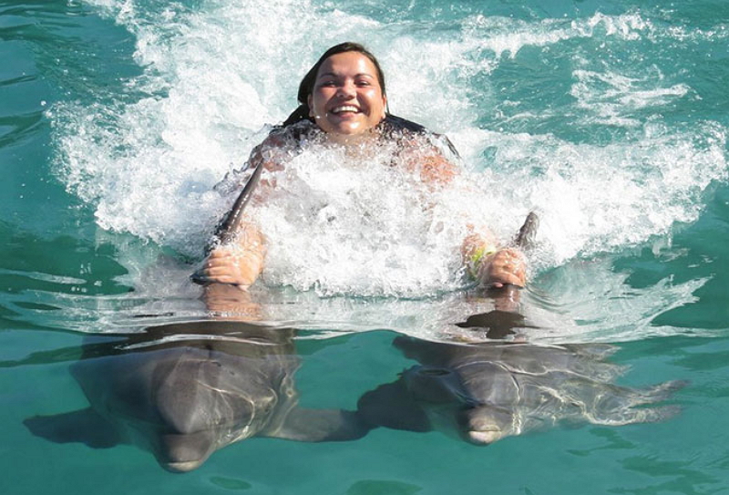 Dolphin Cove Montego Bay - Experiencia de nado con delfines en Jamaica