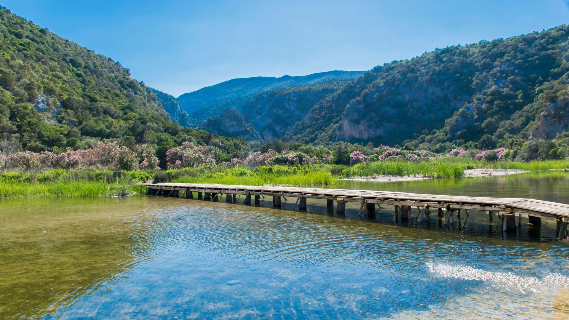 From Dorgali: trekking to Cala Luna - Photo 8
