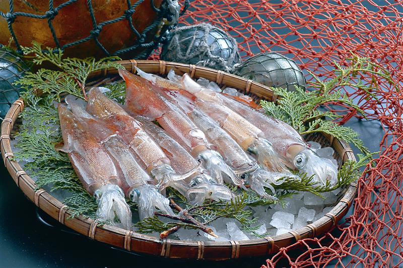 JTB�@���̉߂������i�k�C���j�̃C���[�W