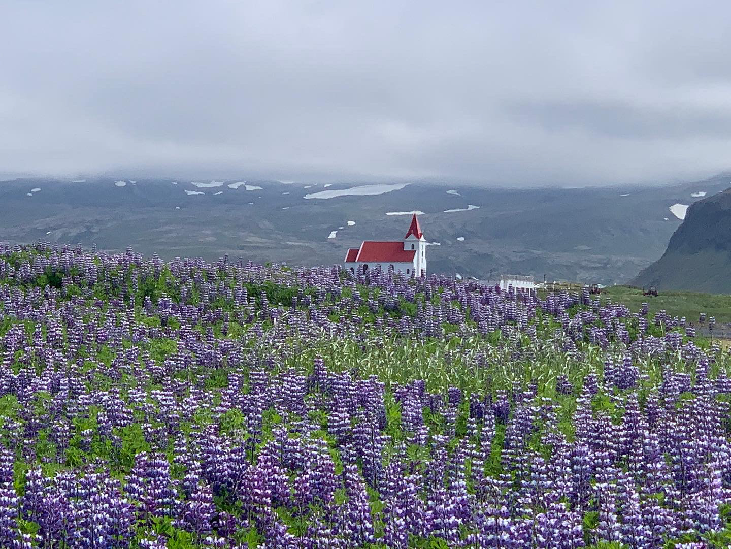 Private Super Jeep with driver guide, fits 6 passengers - photo 21