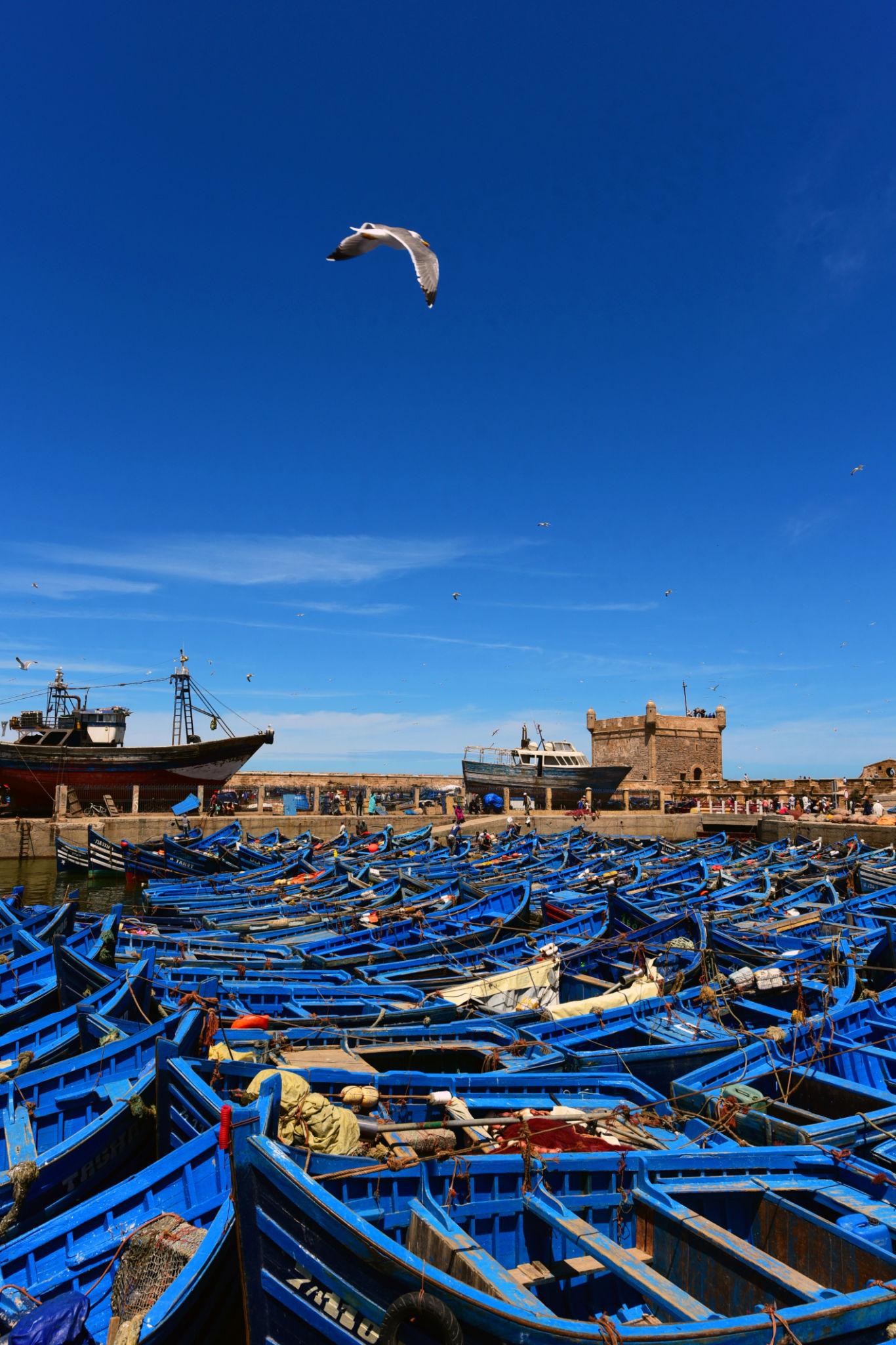 Excursión de un día completo a Essaouira desde Marrakech: medina atlántica y costa de Argán