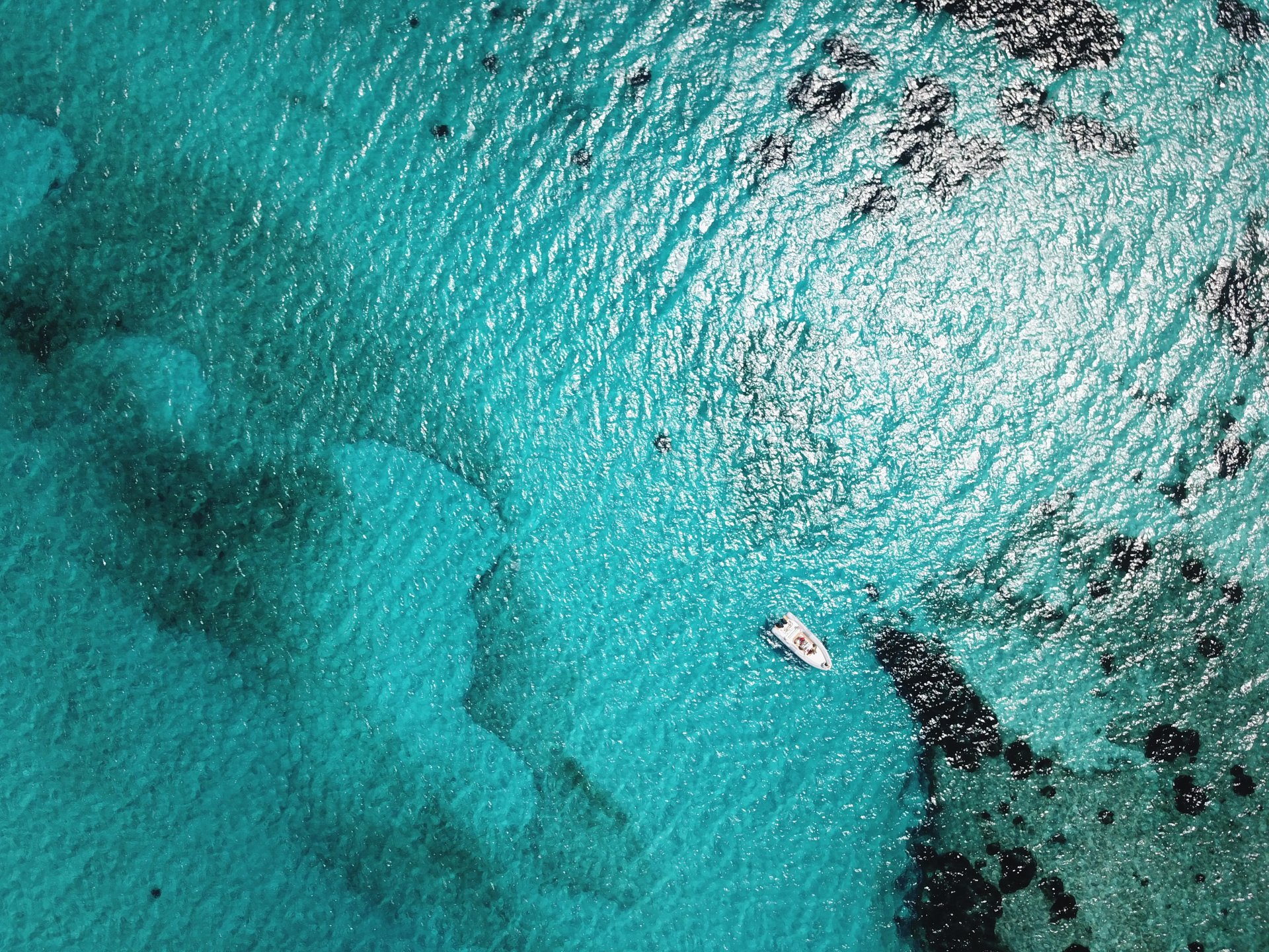 From Stintino: RIB tour in the gulf of Asinara - Photo 7