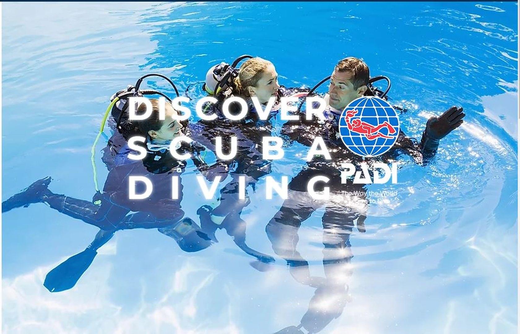 Experiencia de buceo en Funchal