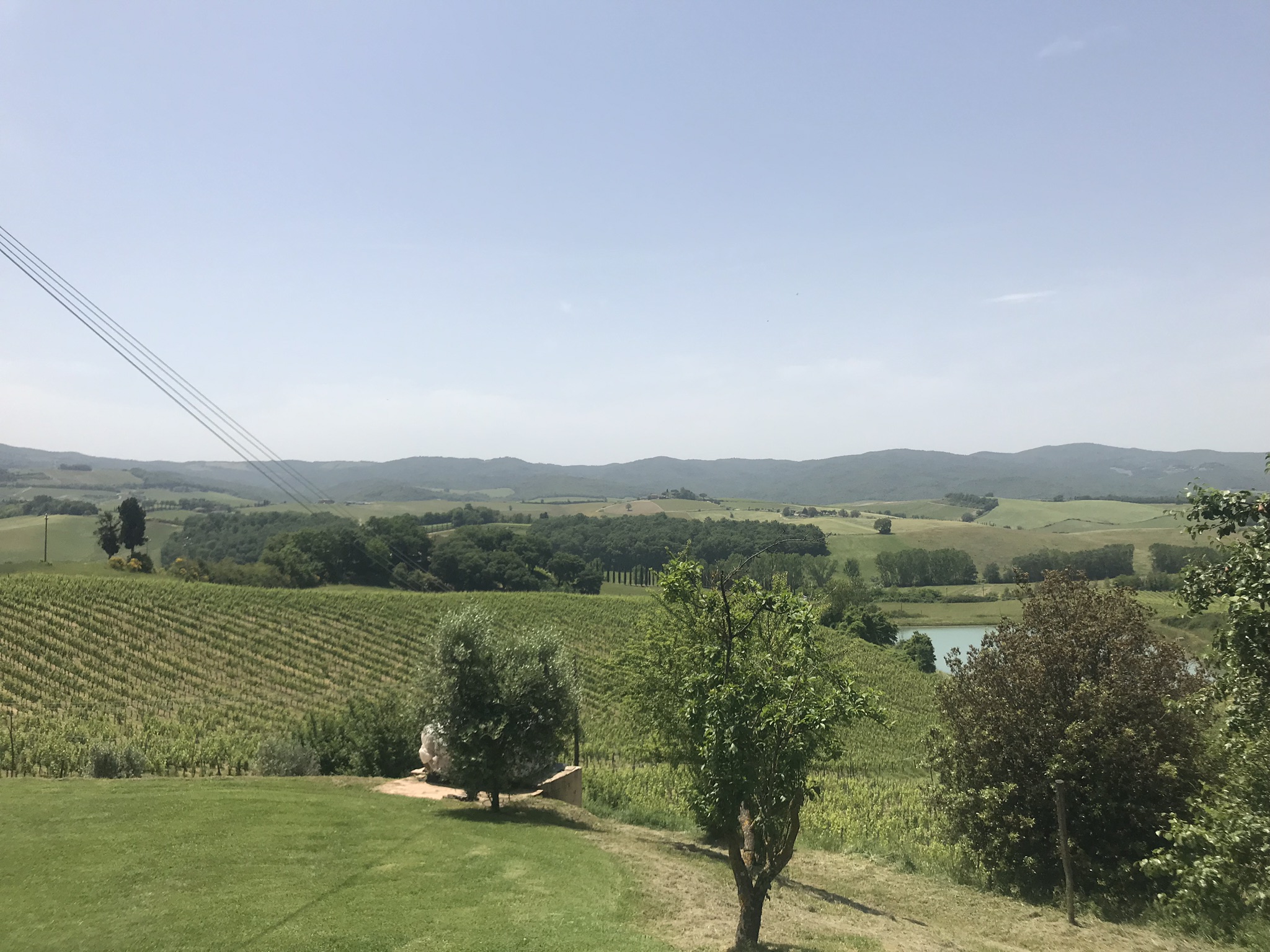 Val d’Orcia Wine Tour from Florence: Montalcino, Pienza & Brunello - Photo 26
