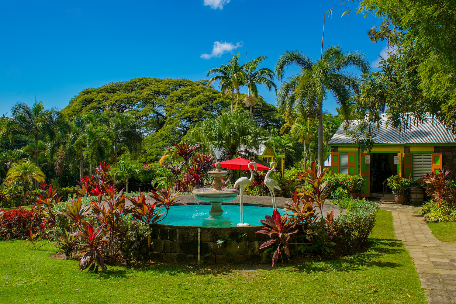 St. Kitts Photography Tours - The Best Photo Spots in St. Kitts 5