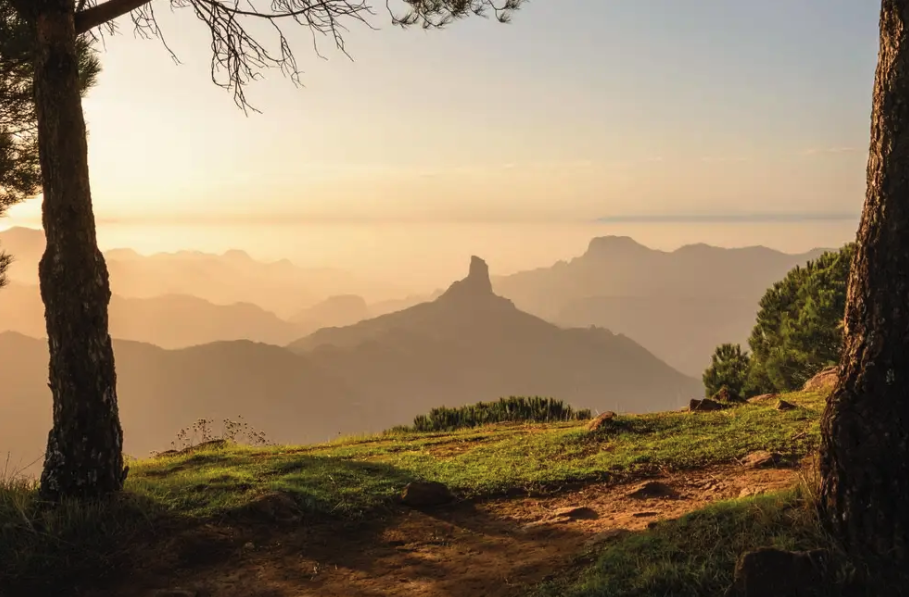 Gran Tour Gran Canaria (desde el Hotel Barceló Margaritas)