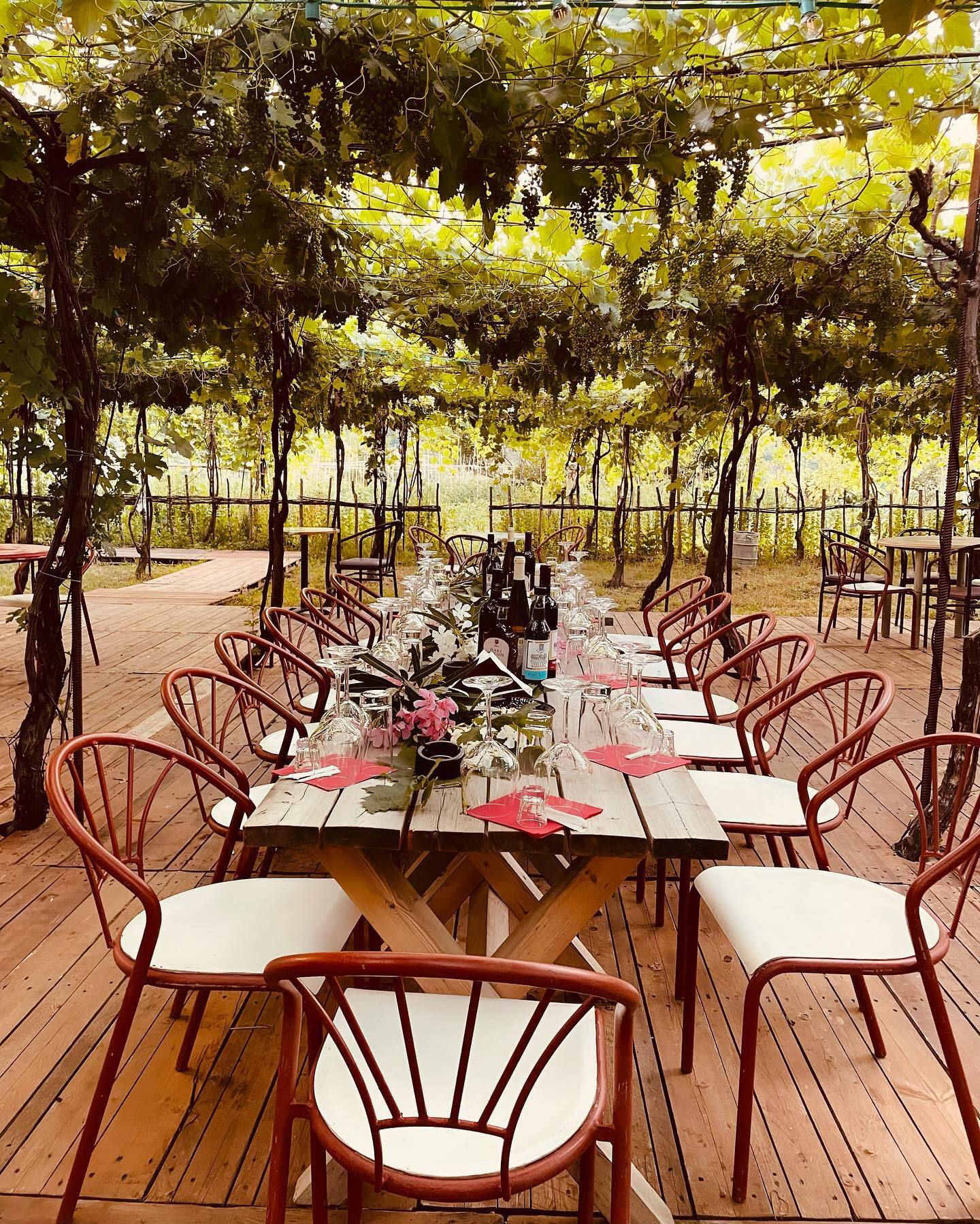 Discover Roshnik: Village Life and Alpeta Winery Tasting - Photo 8