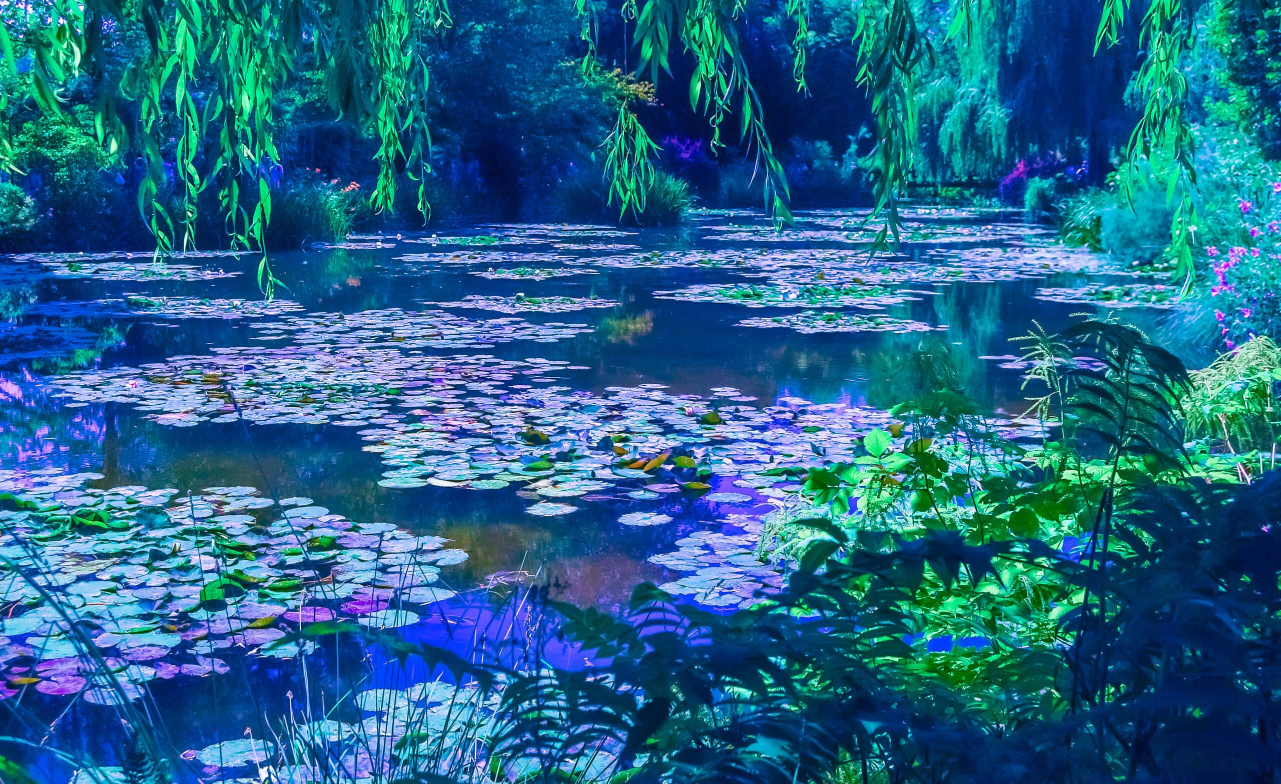 Full Day Giverny Monet's Gardens & Palace of Versailles                                         – Image 3 | WeShare