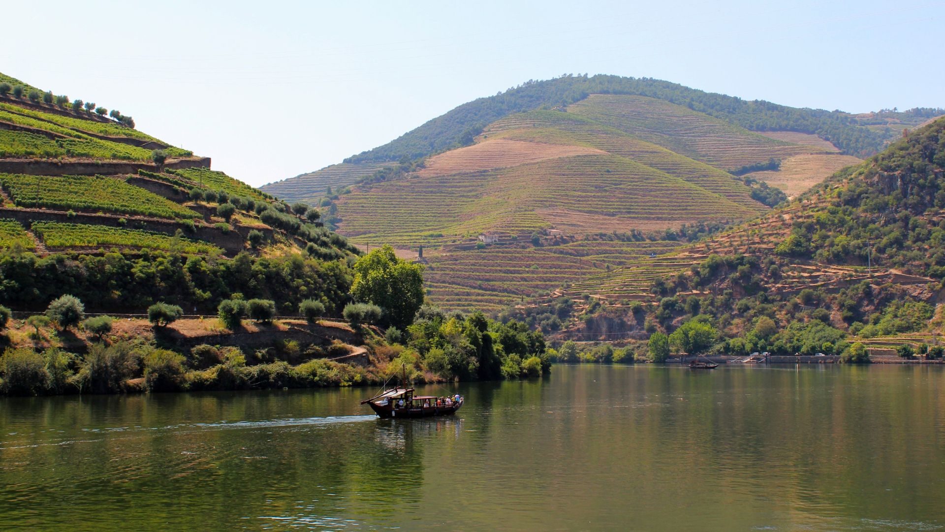 Douro Valley Small Group Tour with Wine Tastings, Lunch and River Cruise  - Photo 5