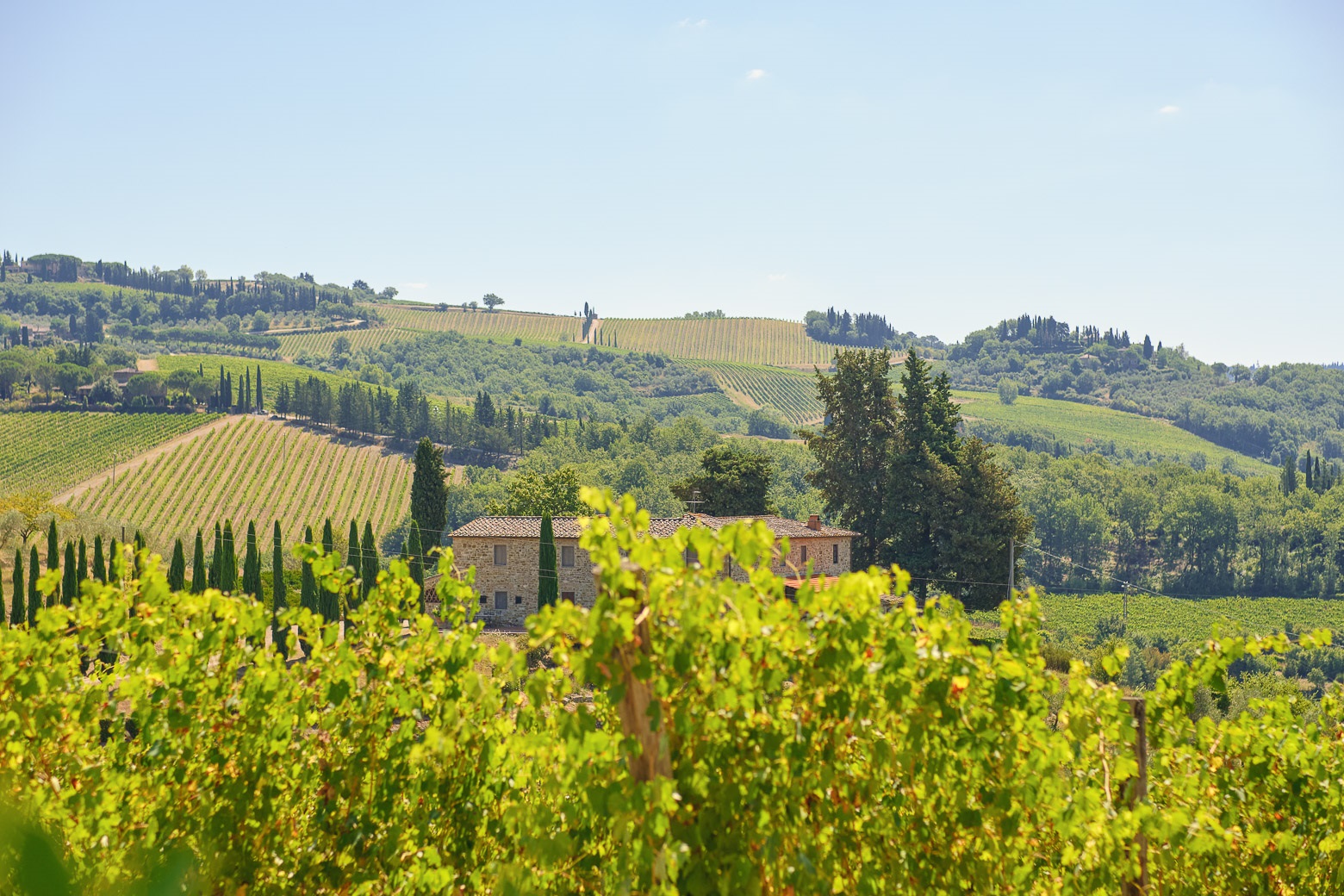Chianti Vineyards Escape from Florence with Two Wine Tastings from Florence - Photo 33
